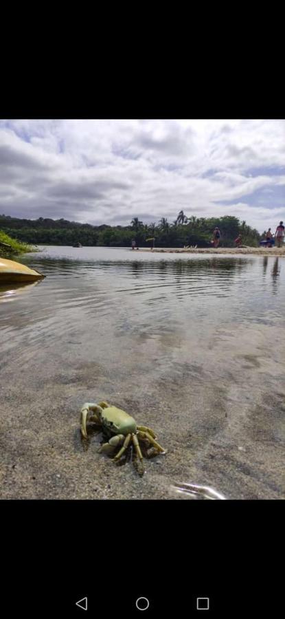 Hostal Estrellas Del Tayrona Playa Mendihuaca Guachaca Bagian luar foto